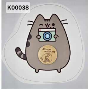 Panel KSZTAŁTKA velvet - PUSHEEN APARAT K00038