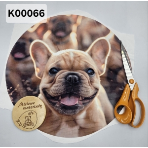 Panel KSZTAŁTKA velvet - OKRĄGŁA BULDOG FRACUZKI BISZKOPTOWY K00066