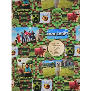 Dresowka pętelka nadruk cyfrowy- MINECRAFT FILMOWY AKTORZY