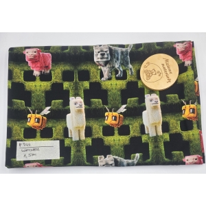 #744 Softshell drukowany - MINECRAFT FILM CREEPER 1,5MB