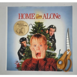 DOSTEPNE Panel VELVET 40CMx40CM - KEVIN SAM W DOMU NIEBIESKI