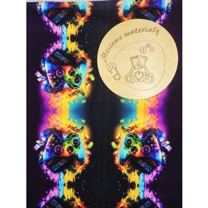 Dresowka petelka nadruk cyfrowy - PADY DO GRY XBOX