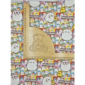 Dresowka  petelka nadruk cyfrowy - MOLANG