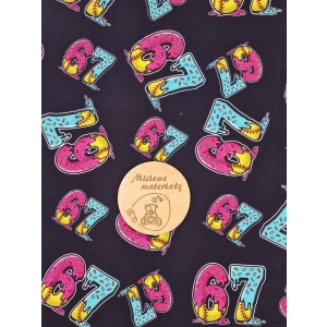 Dresowka pętelka nadruk cyfrowy - 67 POSYPKA