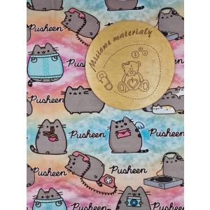 Dresowka pętelka nadruk cyfrowy - PUSHEEN  PASTELOWY