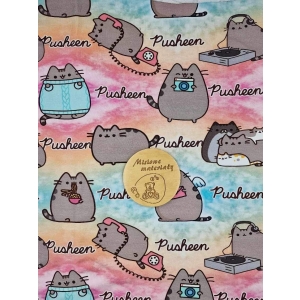 Dresowka pętelka nadruk cyfrowy - PUSHEEN  PASTELOWY