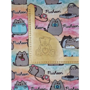 Dresowka pętelka nadruk cyfrowy - PUSHEEN  PASTELOWY