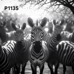 Panel poliester wodoodporny oxford na TORBĘ - ZEBRA  P1135  NA ZAMÓWIENIE