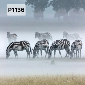 Panel poliester wodoodporny oxford na TORBĘ - ZEBRY  P1136  NA ZAMÓWIENIE