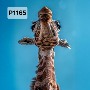 Panel poliester wodoodporny oxford na TORBĘ - ŻYRAFA  P1165  NA ZAMÓWIENIE