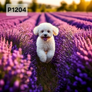 Panel poliester wodoodporny oxford na TORBĘ - PIES BOLOŃCZYKA P1204  NA ZAMÓWIENIE